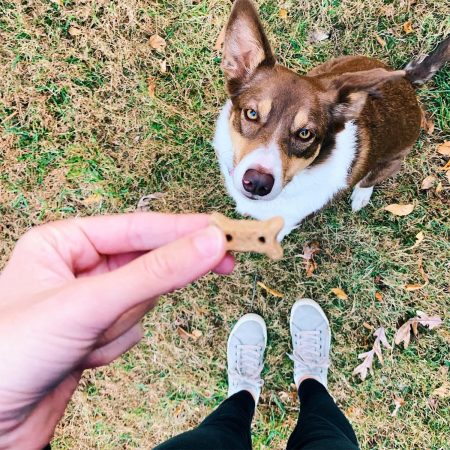 Bac'N'Cheez Small Dog Treats