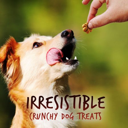 Baked Crispy Bacon & Apple Flavour Dog Treats