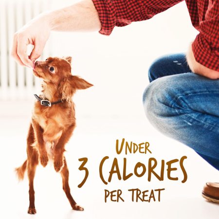 Skinny Minis Soft Rotisserie Chicken Flavour Dog Treats