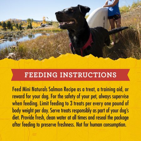 Mini Naturals Salmon Recipe Dog Treats