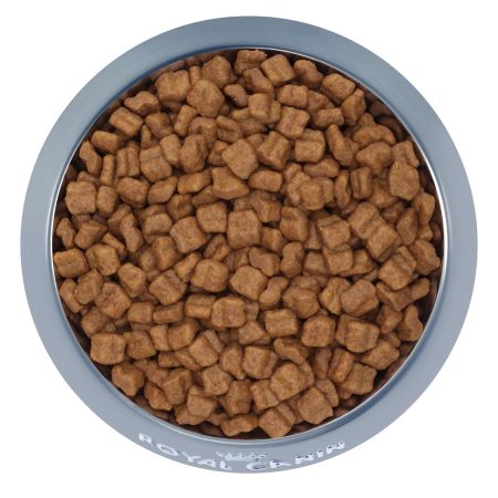 Breed Health Nutrition Boxer Puppy Dog Food