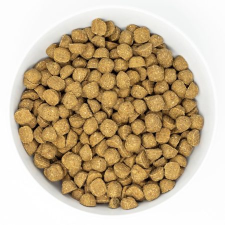 Raw Coated Wholesome Grain Chicken Recipe Dog Food