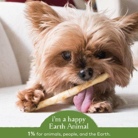 No-Hide Humanely-Raised Pork Stix Natural Rawhide Alternative Dog & Cat Chew