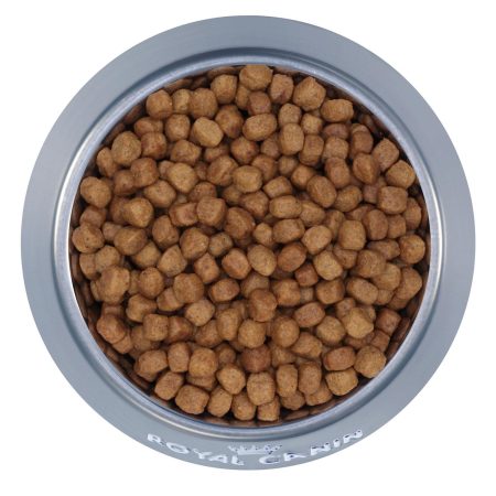 Breed Health Nutrition Dachshund Puppy Dog Food