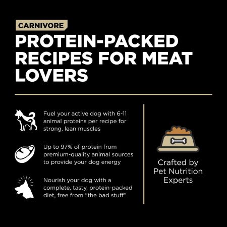 Carnivore Grain-Free Lamb + Wild Boar Recipe Dog Food