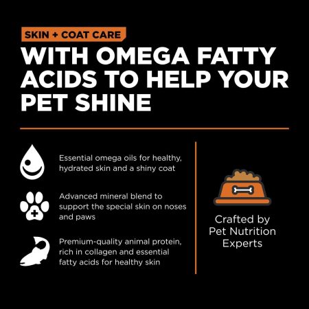 Skin + Coat Care Grain-Free Salmon Recipe Cat Food