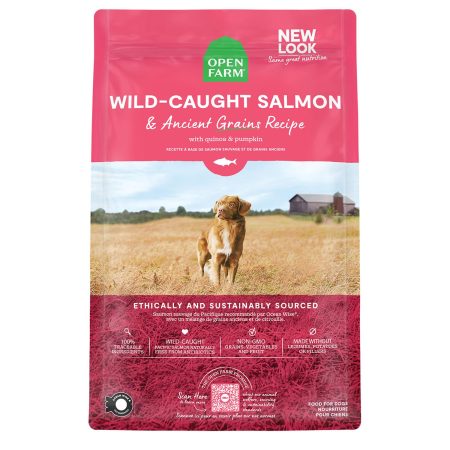 Wild-Caught Salmon & Ancient Grains Recipe Adult Dog Food