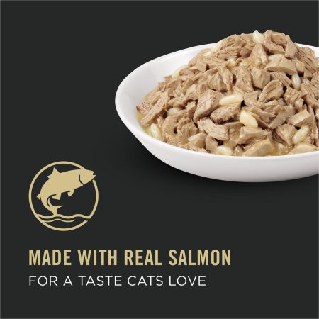 Complete Essentials Salmon & Rice Entree Adult Cat Food