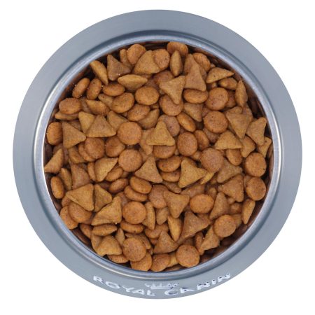 Savor Selective Adult Cat Food