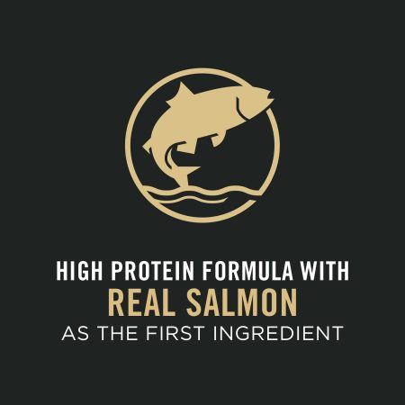 Development Sensitive Skin & Stomach Salmon & Rice Formula Puppy Dog Food