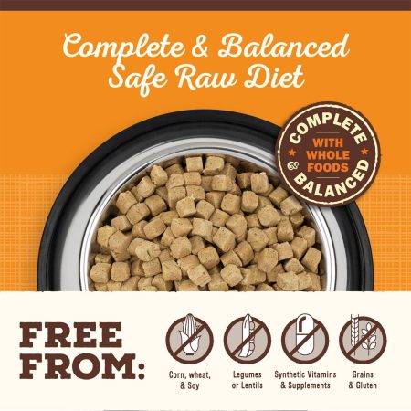 Freeze-Dried Raw Pronto Beef Recipe Adult Dog Food