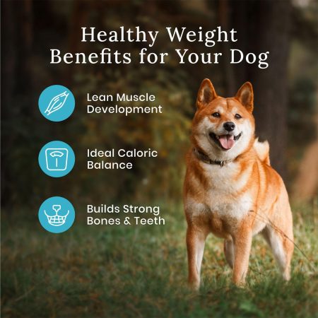 Wilderness Healthy Weight Chicken With Grain Recipe Adult Dog Food