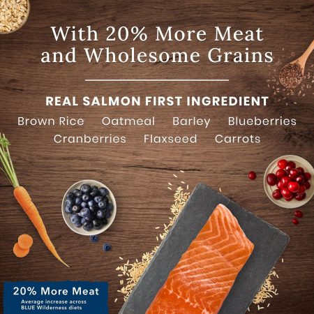 Wilderness Salmon With Grain Recipe Adult Dog Food