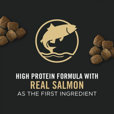 Sensitive Skin & Stomach Salmon & Rice Formula Adult 7+ Dog Food