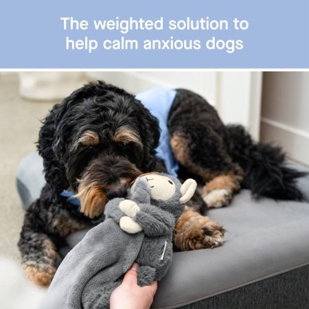 Weighted Grey Dog Toy