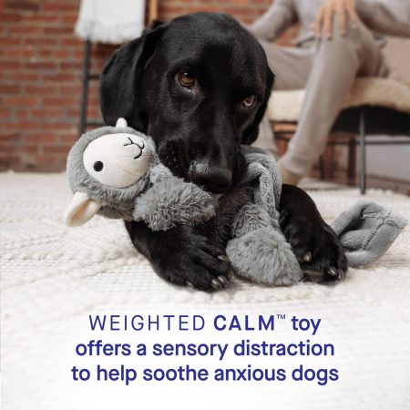 Weighted Grey Dog Toy