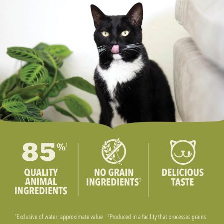 Premium Pate Beef Recipe Adult Cat Food