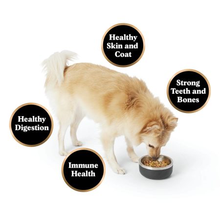 Gently Cooked Tummy Calmer Adult Dog Food