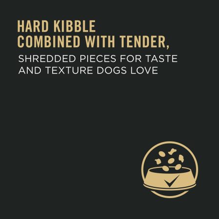 Complete Essentials Shredded Blend Beef & Rice Formula Adult Dog Food