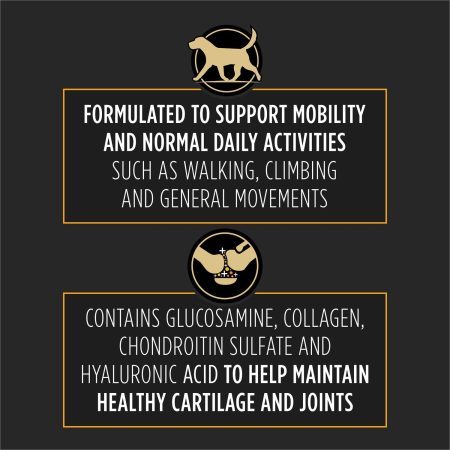 Veterinary Joint Care for Medium-Large Dog Supplements