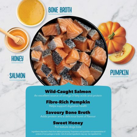 Chewy Strips Skin Coat & Digestive Support Salmon Recipe Dog Treats