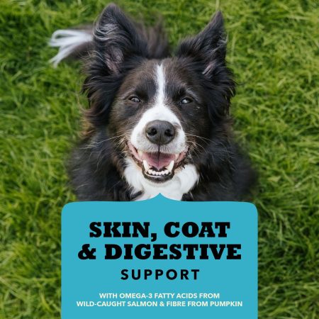 Chewy Strips Skin Coat & Digestive Support Salmon Recipe Dog Treats