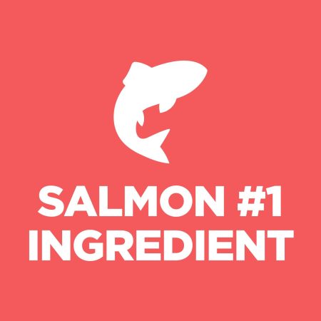 Salmon & Brown Rice Recipe Adult Cat Food