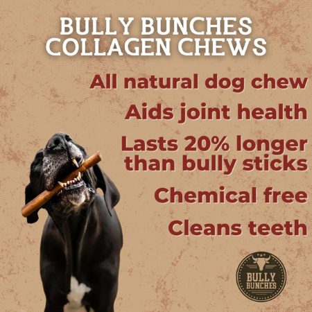 Bully Wrapped Collagen Stick Dog Treat