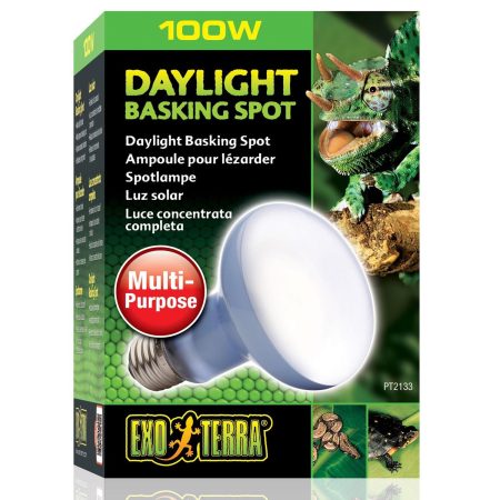 Daylight Basking Spot R25 Bulb