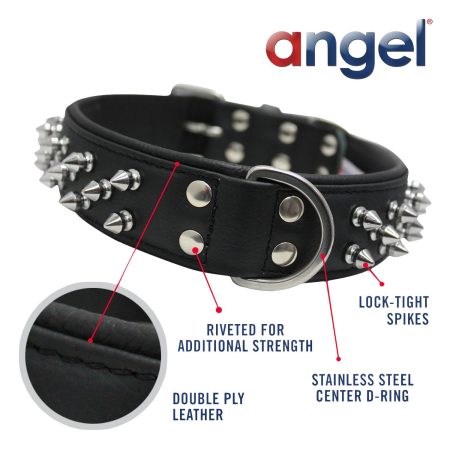 Amsterdam Dog Collar Leather Spiked Midnight Black