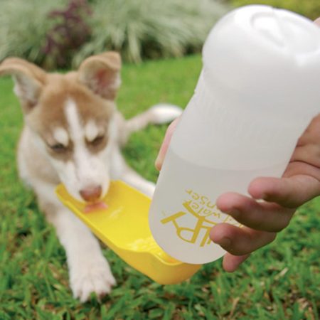 Portable Pet Water Dispenser Assorted Colors