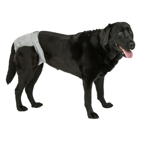 Pooch Pant Washable Diaper