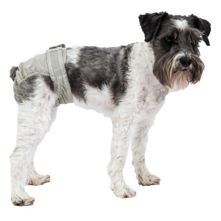 Pooch Pant Washable Diaper