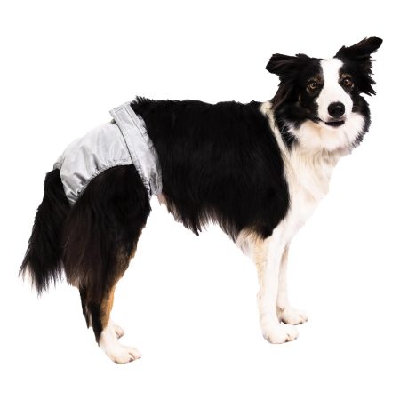 Pooch Pant Washable Diaper