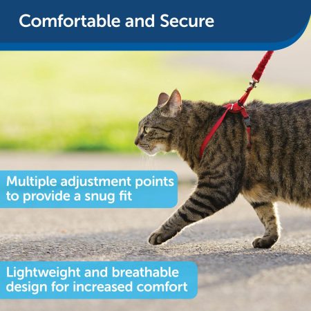 Come With Me Kitty Adjustable Nylon Cat Harness and Bungee Leash Red