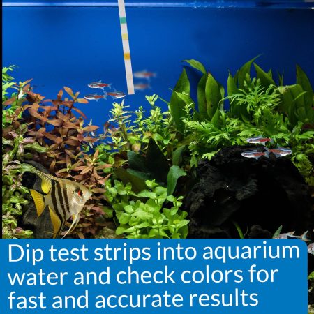 5 in 1 Aquarium Test Strips