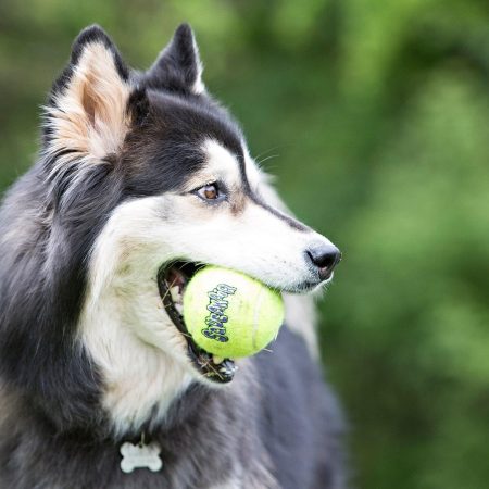 AirDog Squeakair Ball 3pk