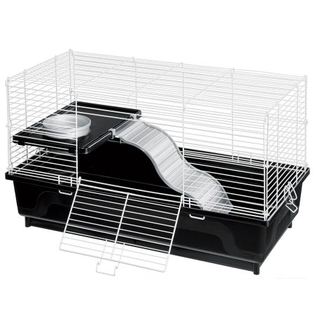 My First Home- Pet Rat Habitat