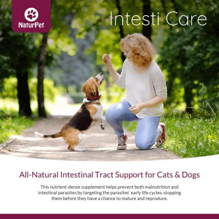 Intesti Care Pet Supplement