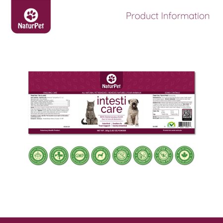 Intesti Care Pet Supplement