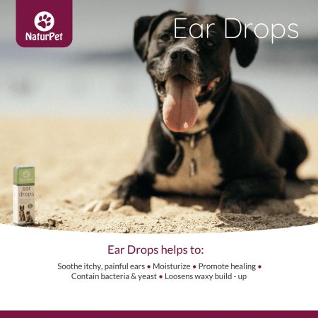 Ear Drops