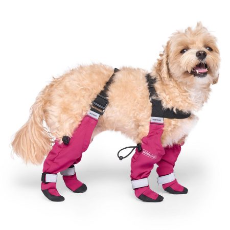 Suspender Short Pink Dog Boots