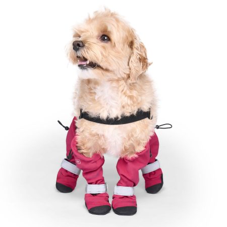 Suspender Short Pink Dog Boots