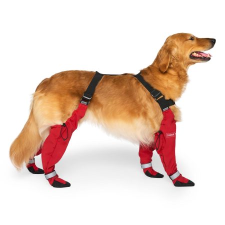 Suspender Long Red Dog Boots