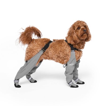 Suspender Long Grey Dog Boots