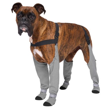 Suspender Long Grey Dog Boots