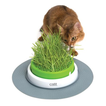 Senses 2.0 Grass Planter