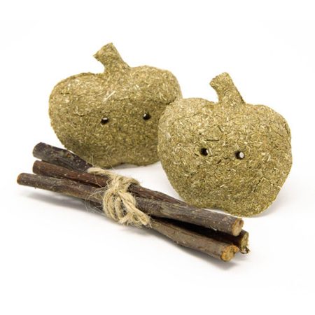 Enriched Life Timothy Apples & Stix Toy for Small Animals