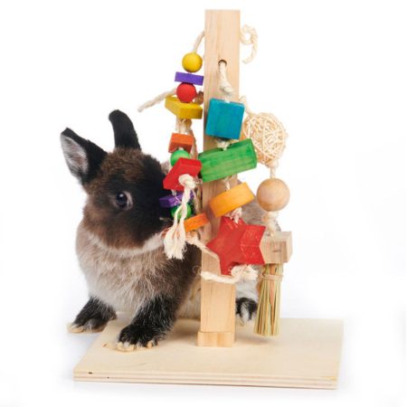 Enriched Life Play Post Toy for Small Animals