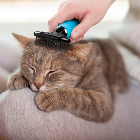 Soft Slicker Cat Brush